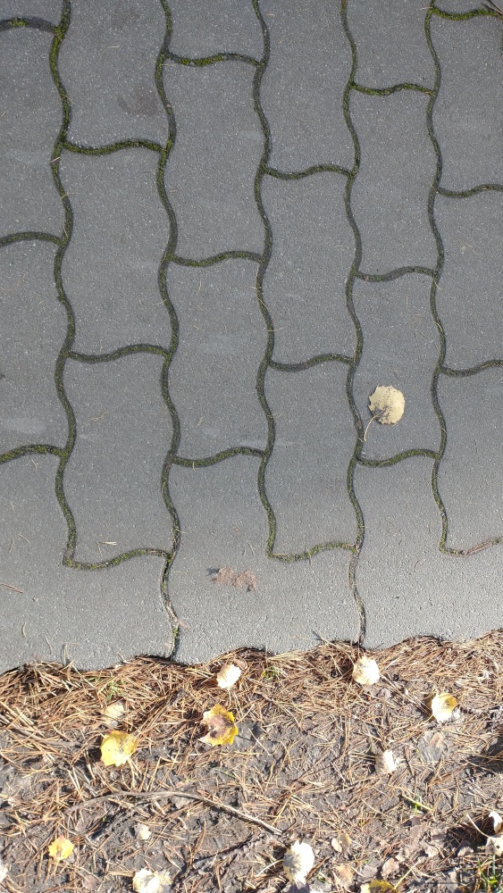 Pflasterung